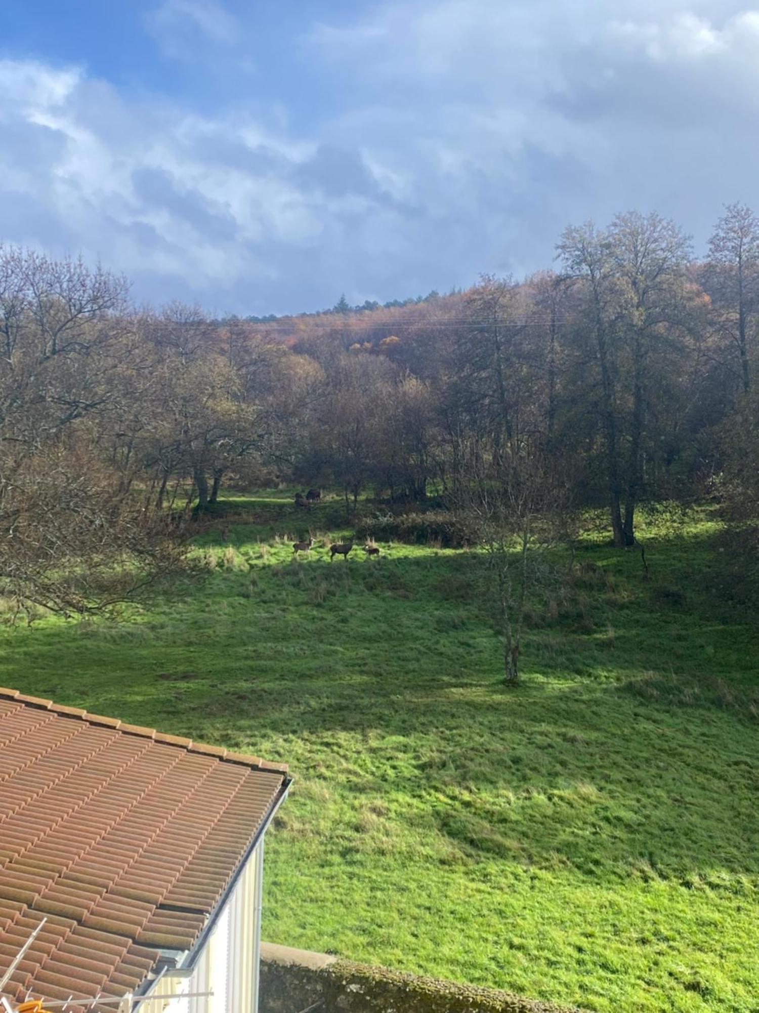 Casa Del Bosque Leilighet Béjar Eksteriør bilde