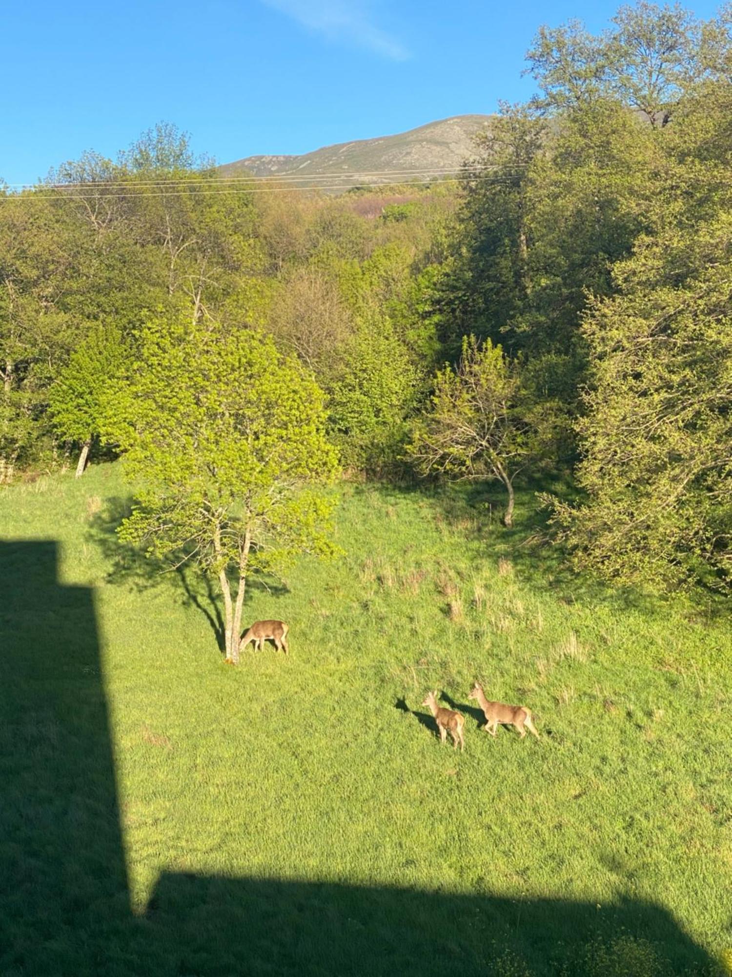 Casa Del Bosque Leilighet Béjar Eksteriør bilde